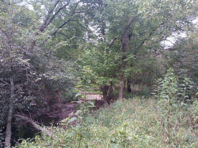 TBD County Road 4700