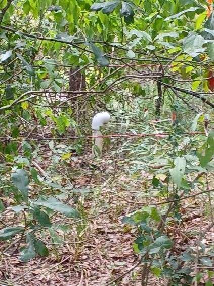 TBD County Road 4700