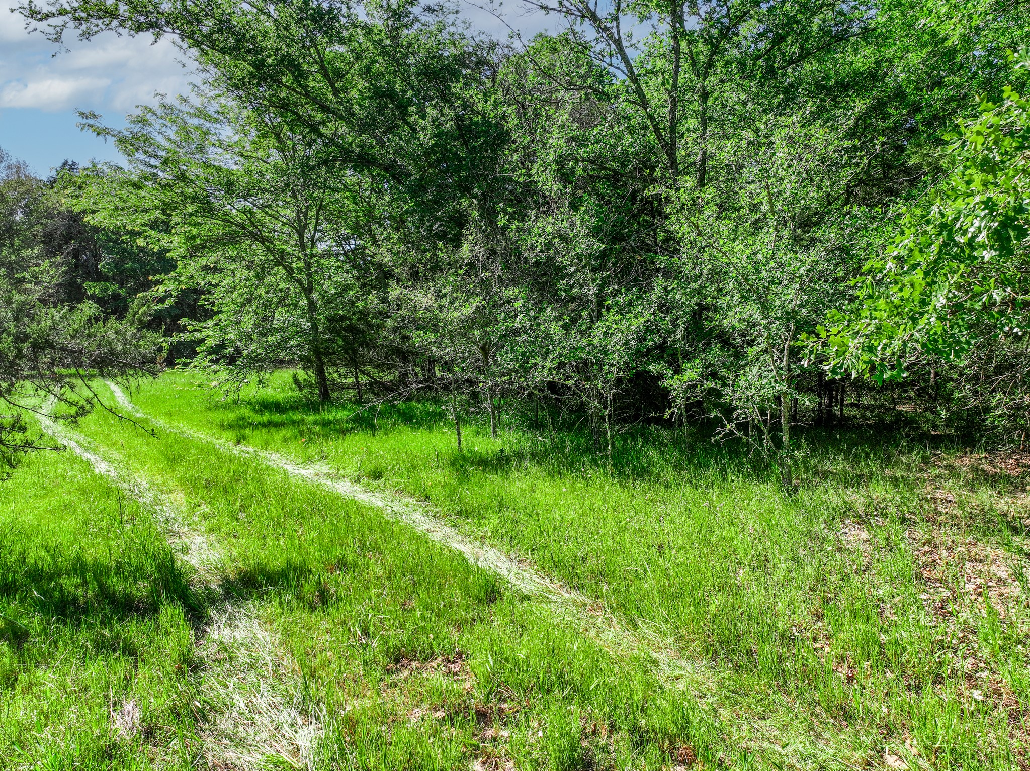 TBD County Road 4700