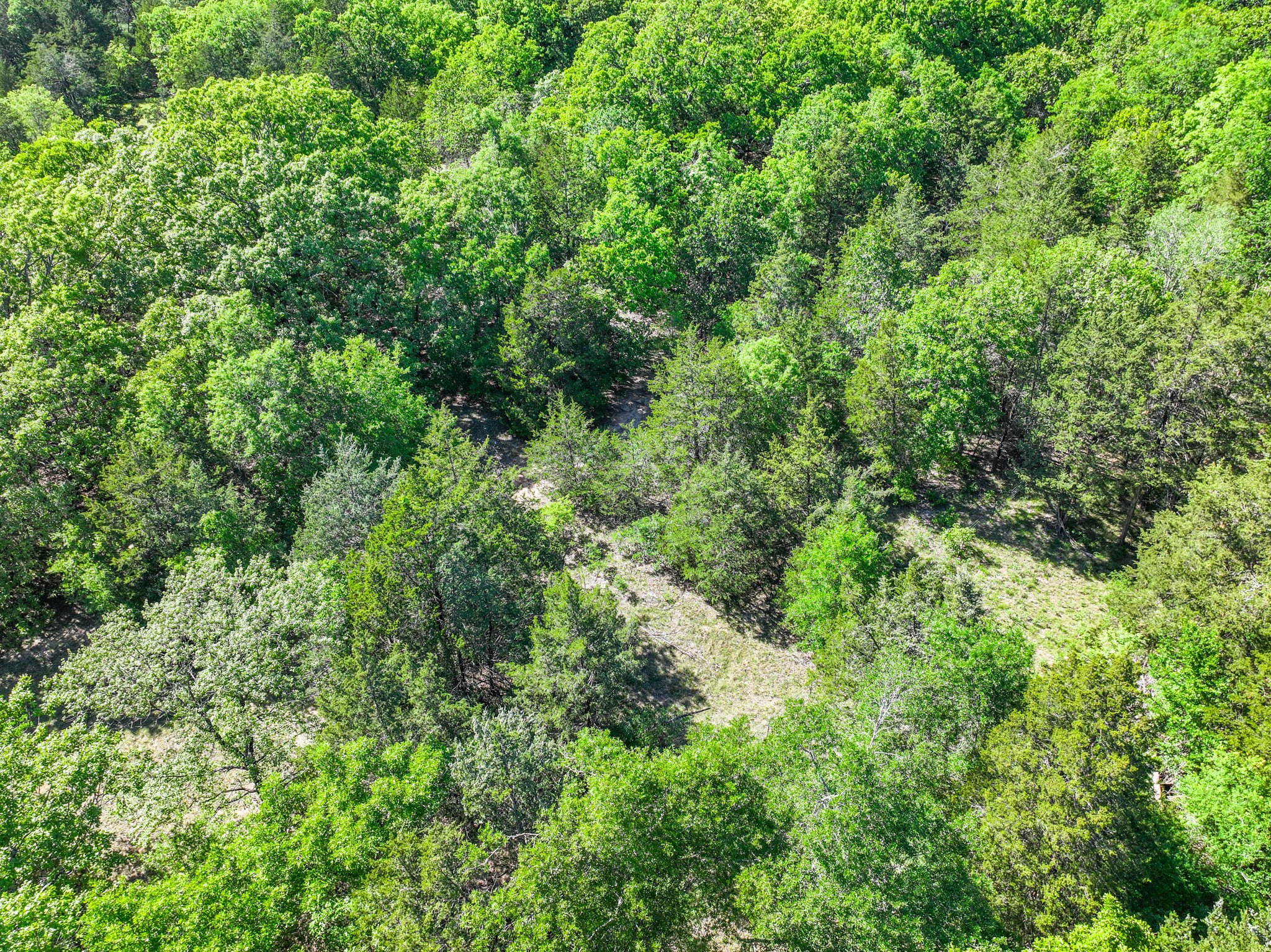 TBD County Road 4700