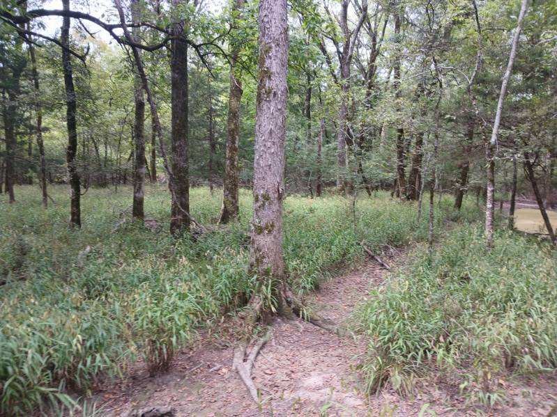 TBD County Road 4700