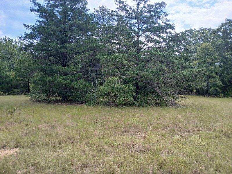 TBD County Road 4700