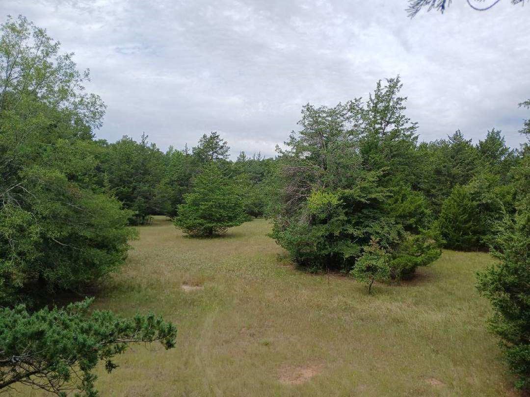 TBD County Road 4700