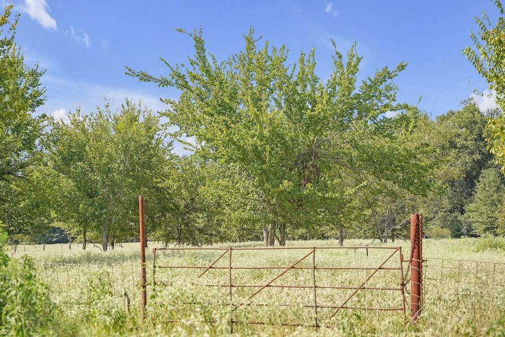2675 County Road 1165