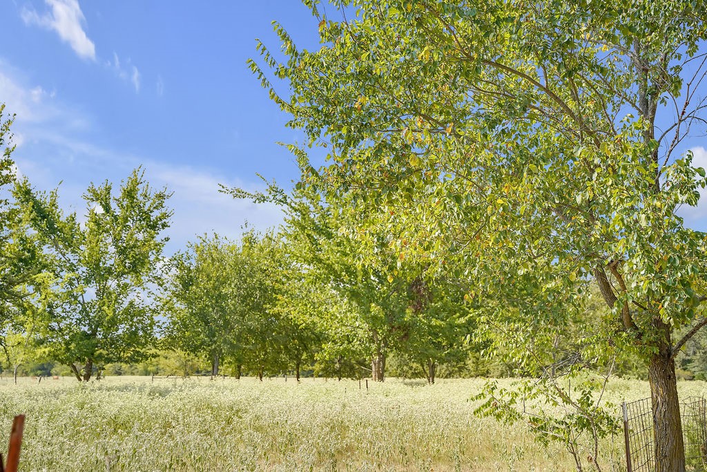 2675 County Road 1165