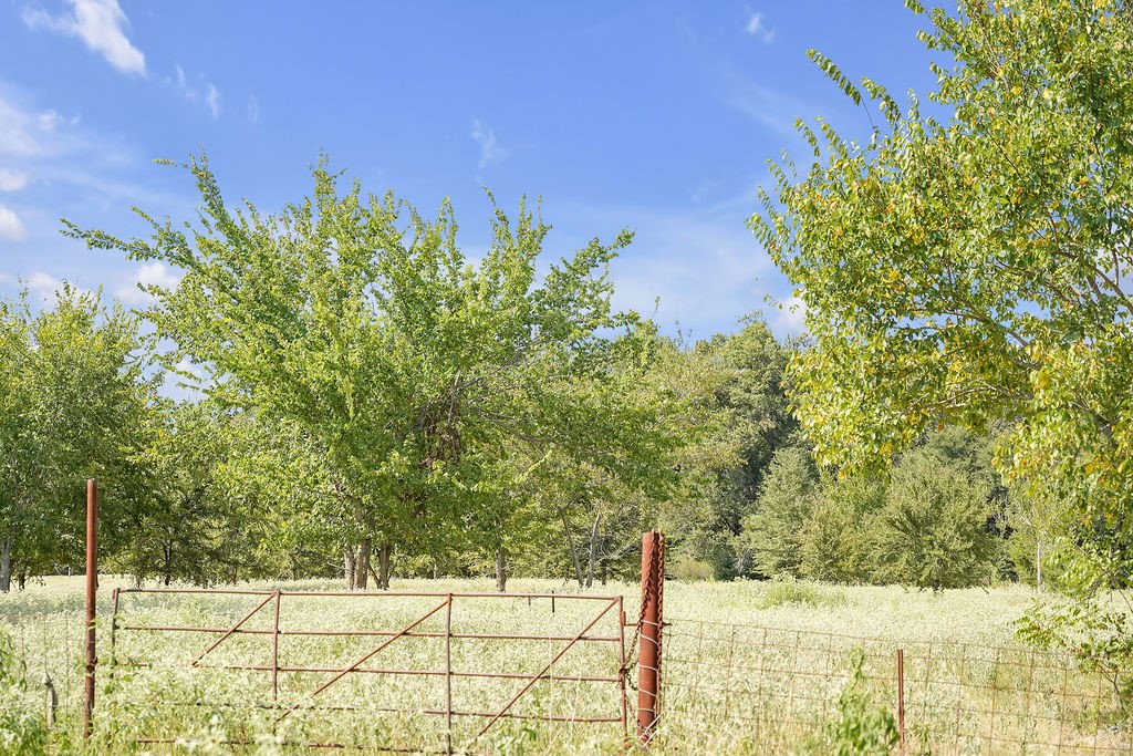 2675 County Road 1165