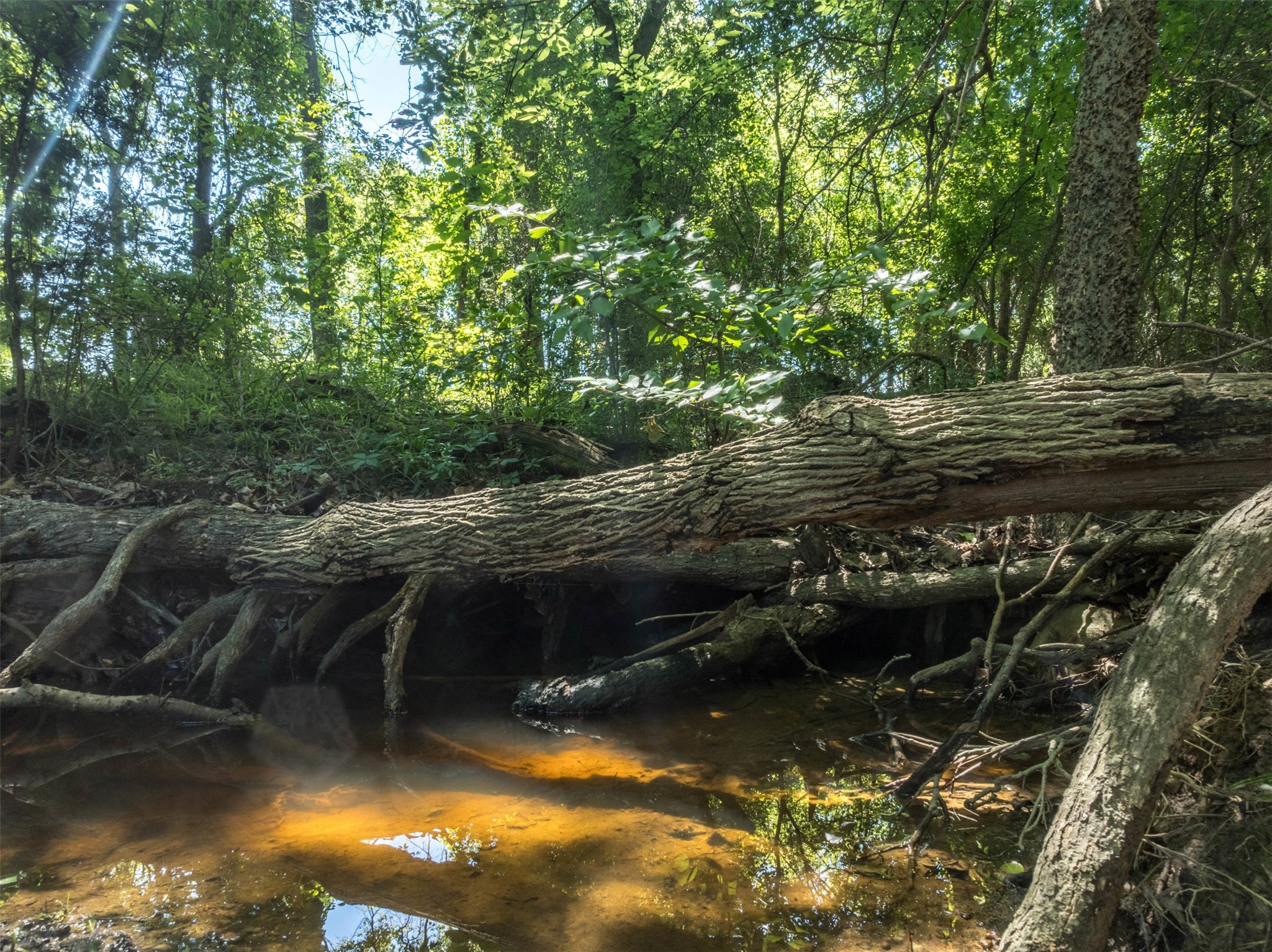 1020 County Road 3070