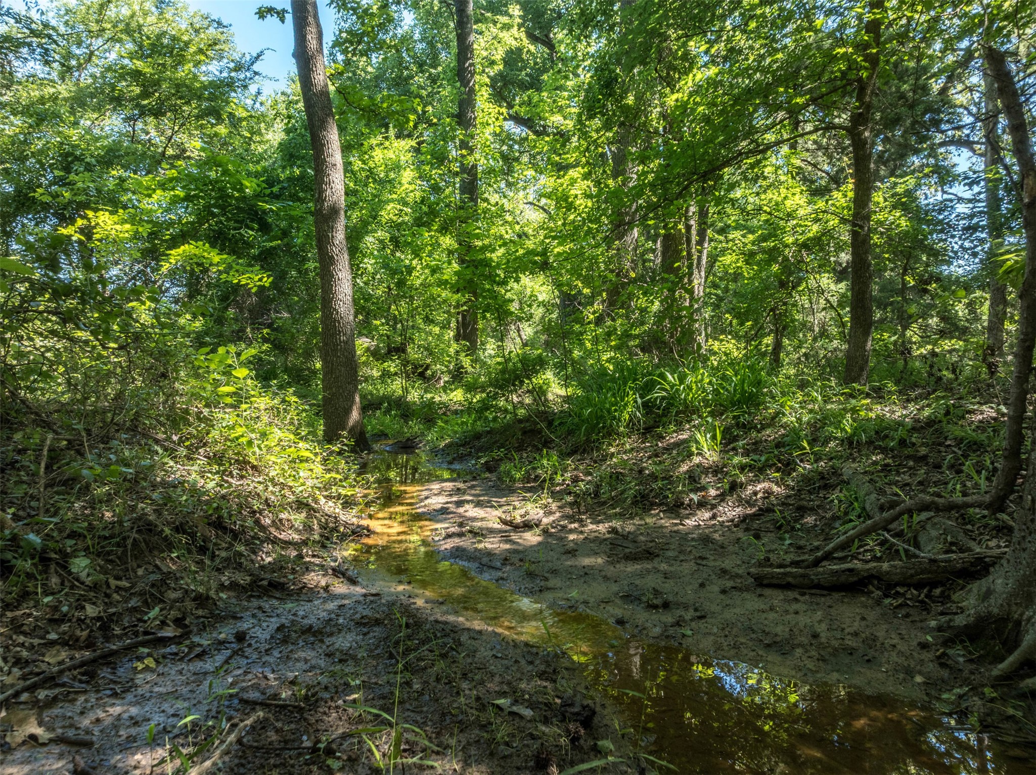 1020 County Road 3070
