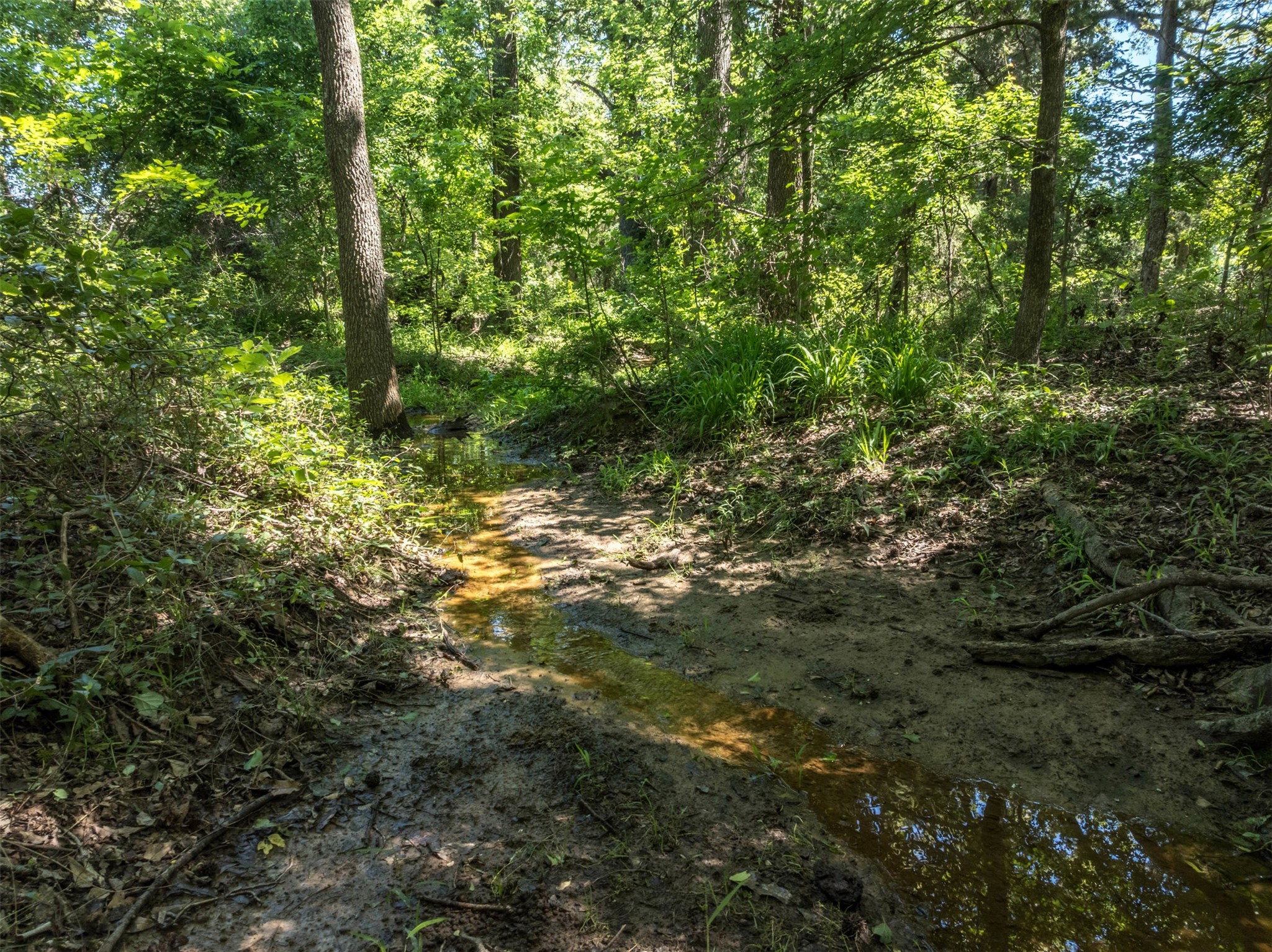 1020 County Road 3070