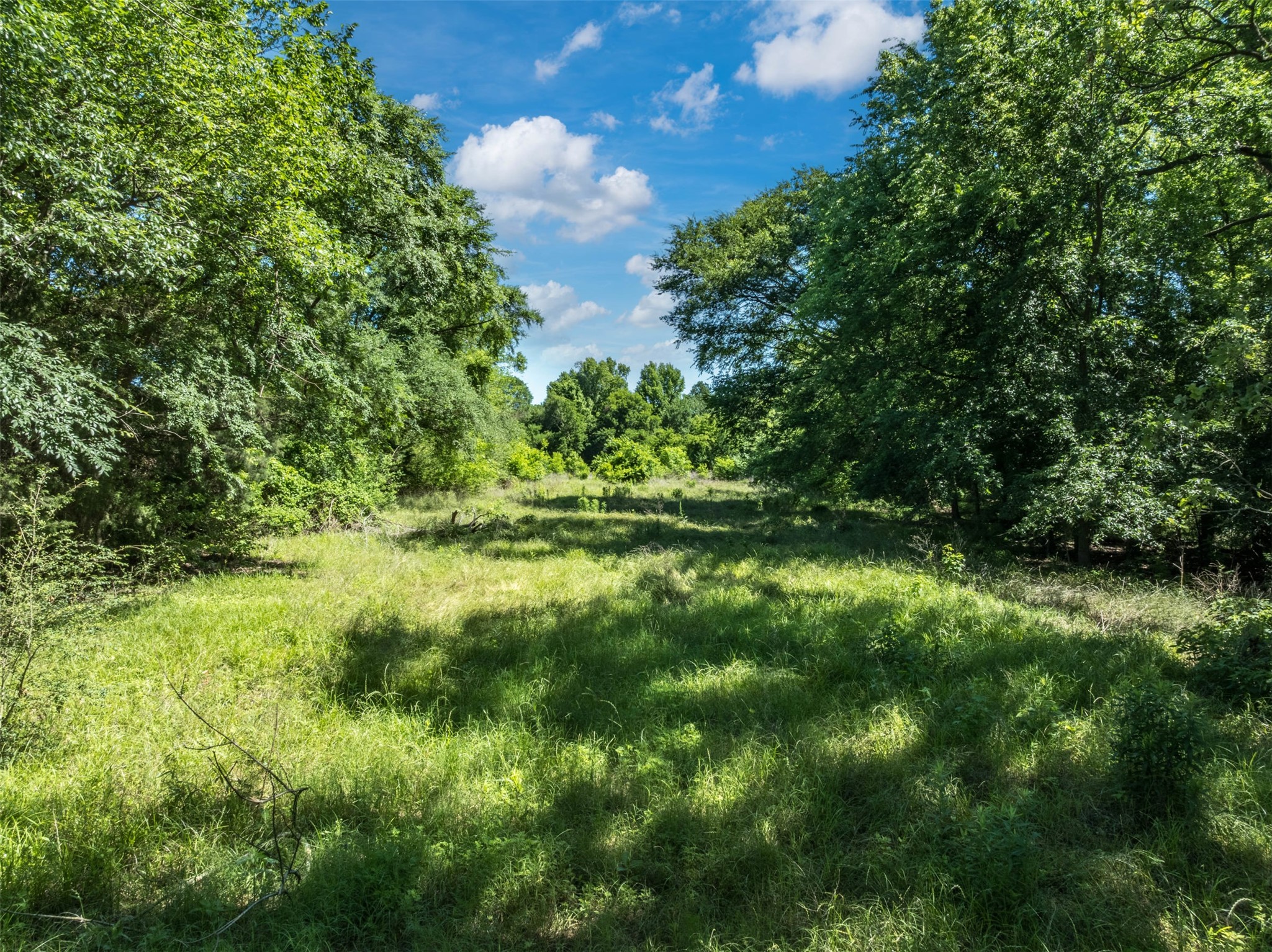 1020 County Road 3070