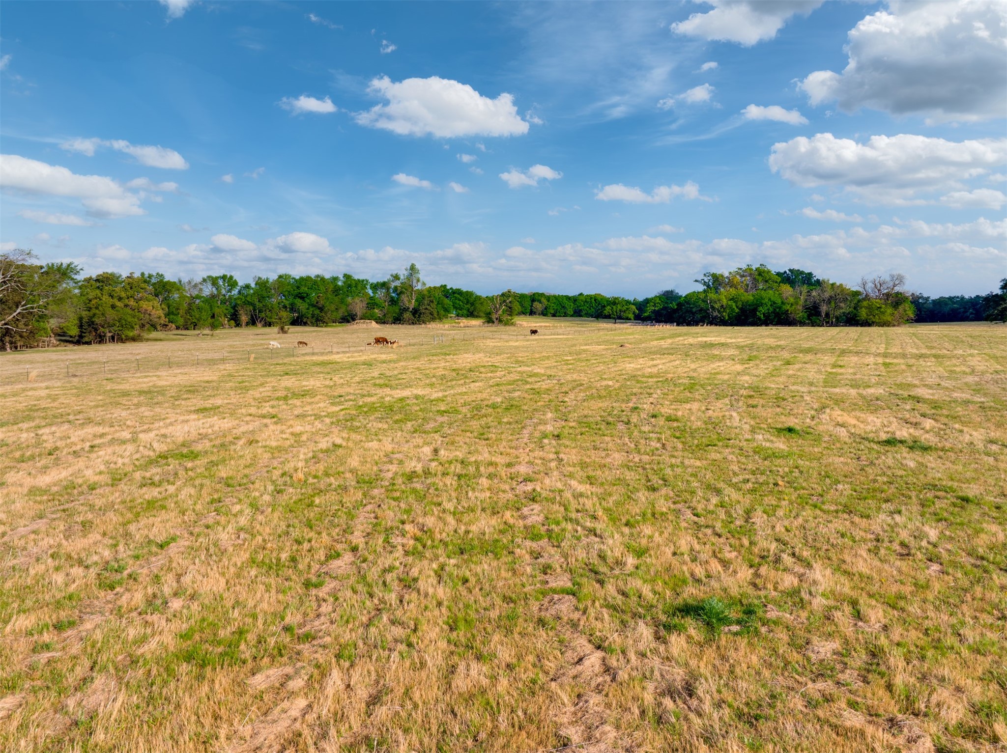 1020 County Road 3070