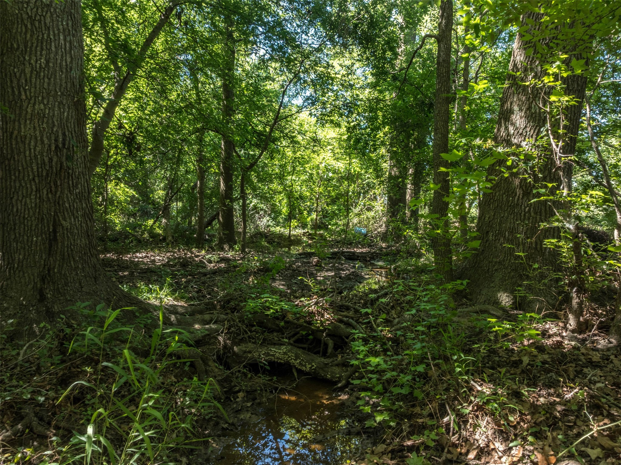 1020 County Road 3070