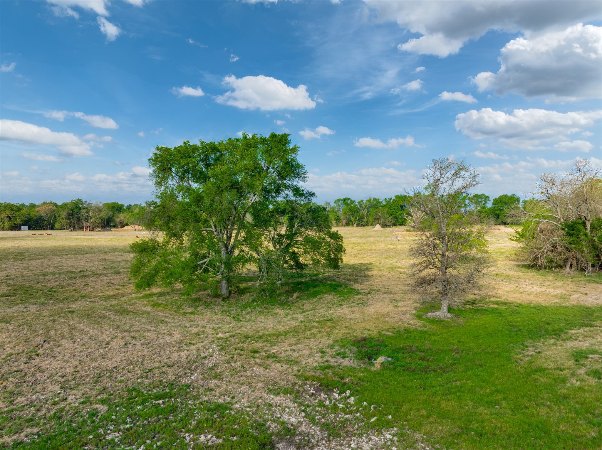 1020 County Road 3070