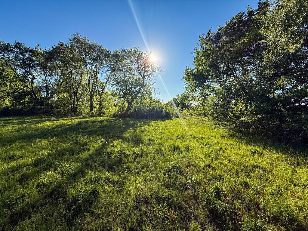 TBD County Road 1165