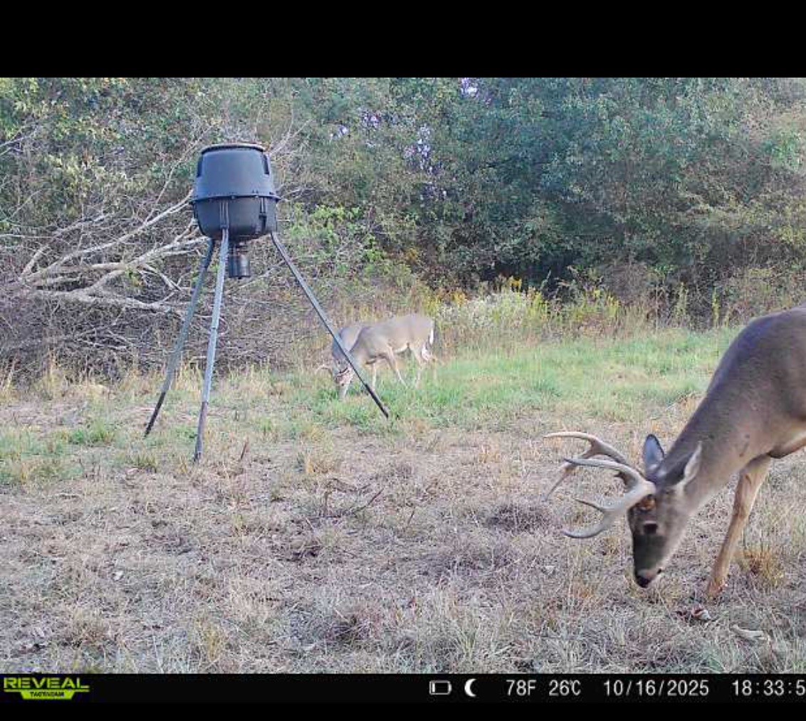 TBD County Road 1165