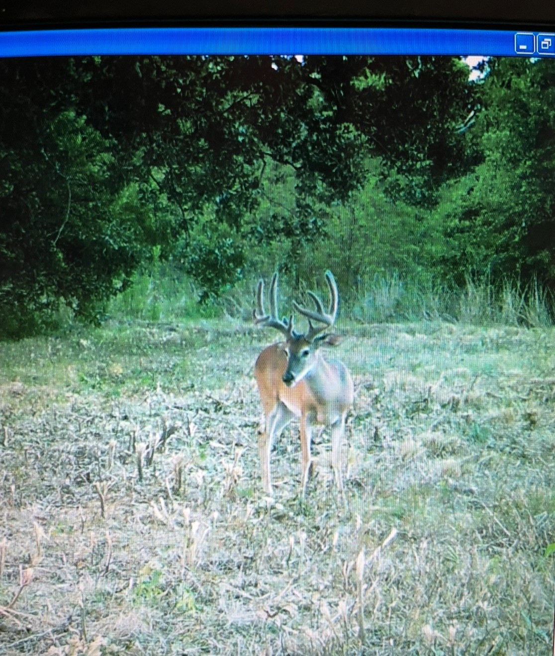 TBD County Road 1165