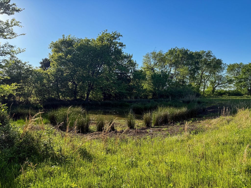 TBD County Road 1165