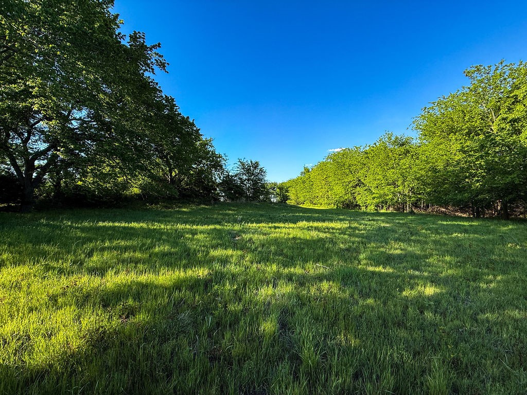 TBD County Road 1165