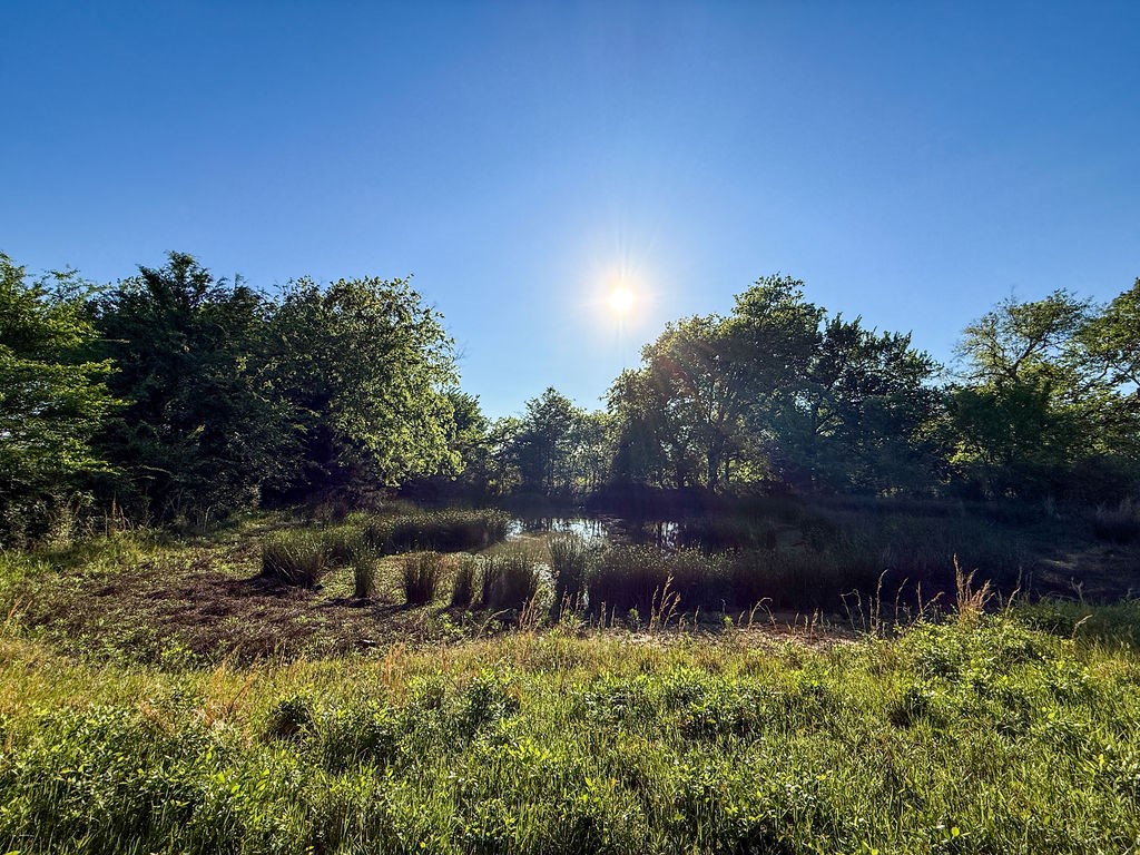 TBD County Road 1165