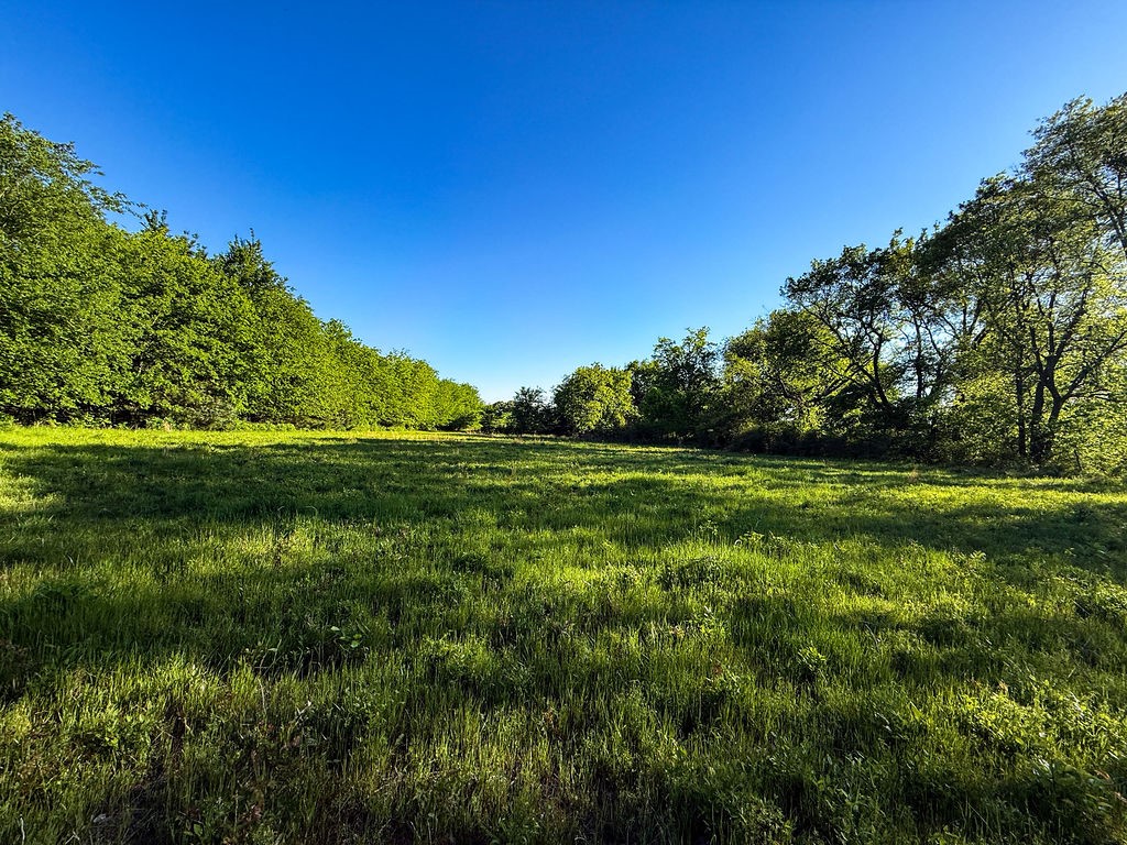 TBD County Road 1165