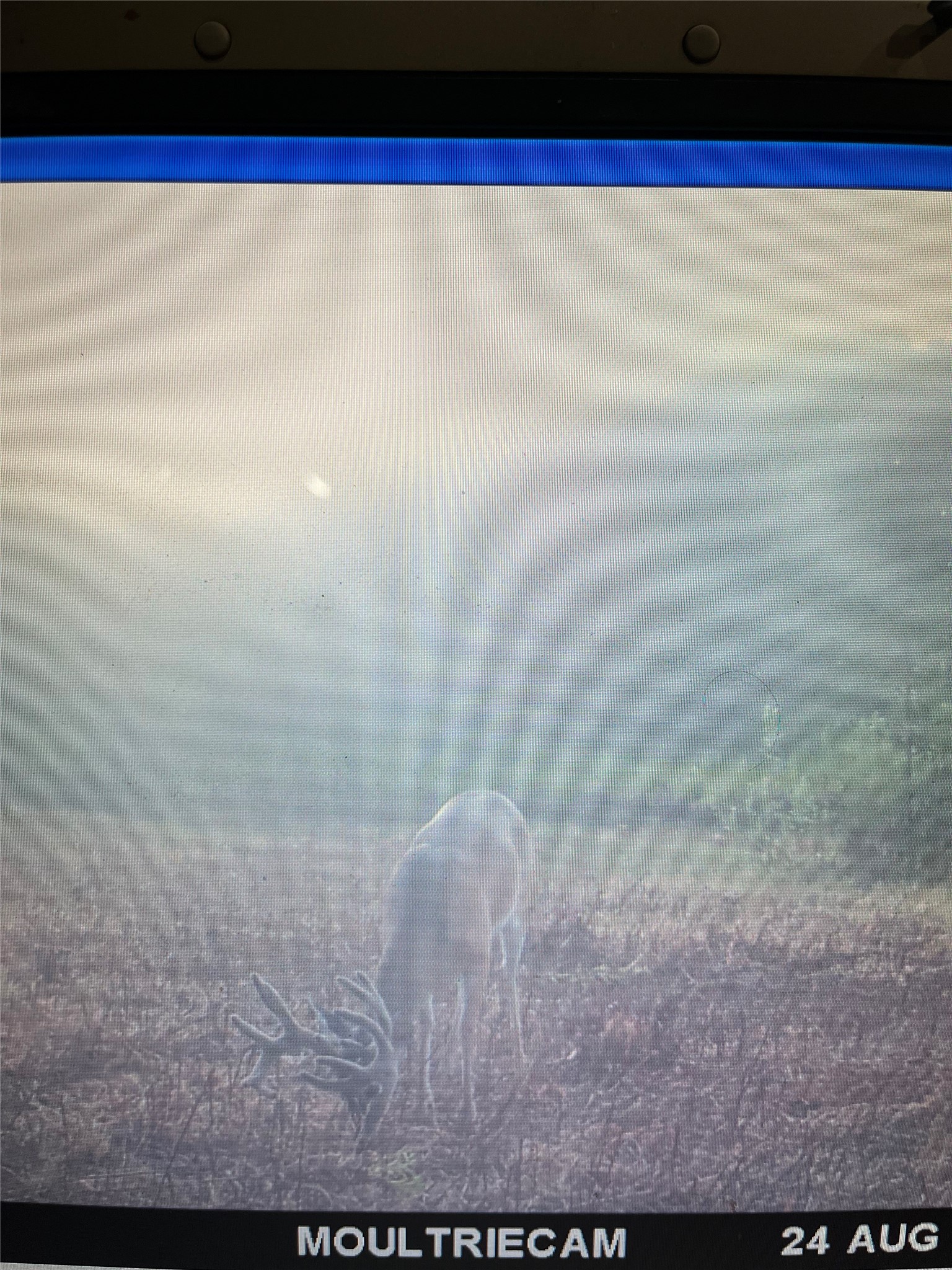 TBD County Road 1165