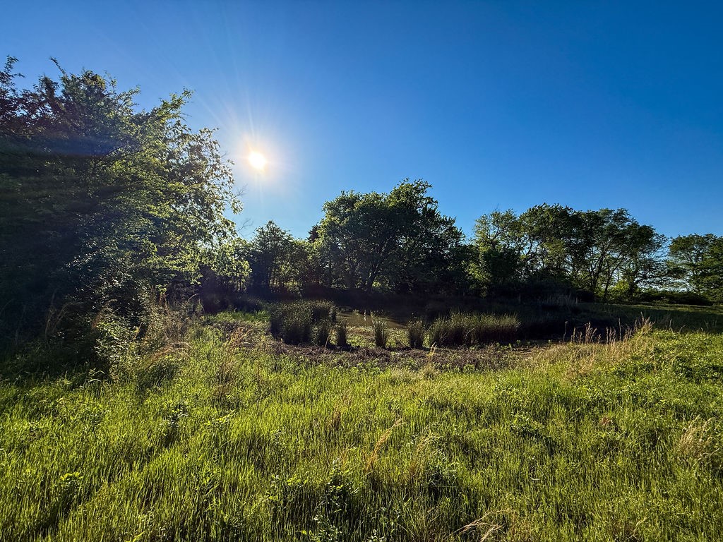 TBD County Road 1165