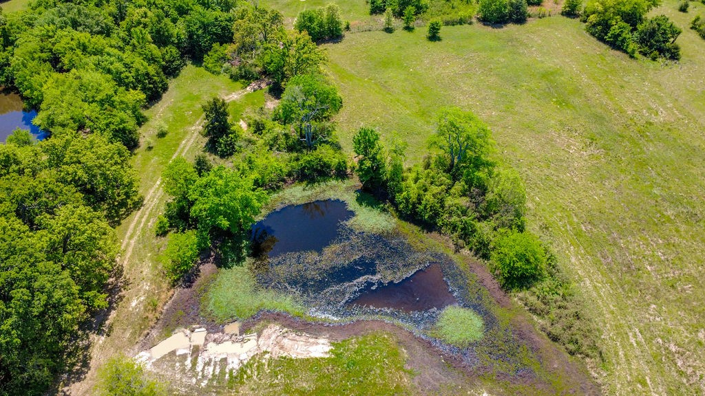 TBD County Road 1165