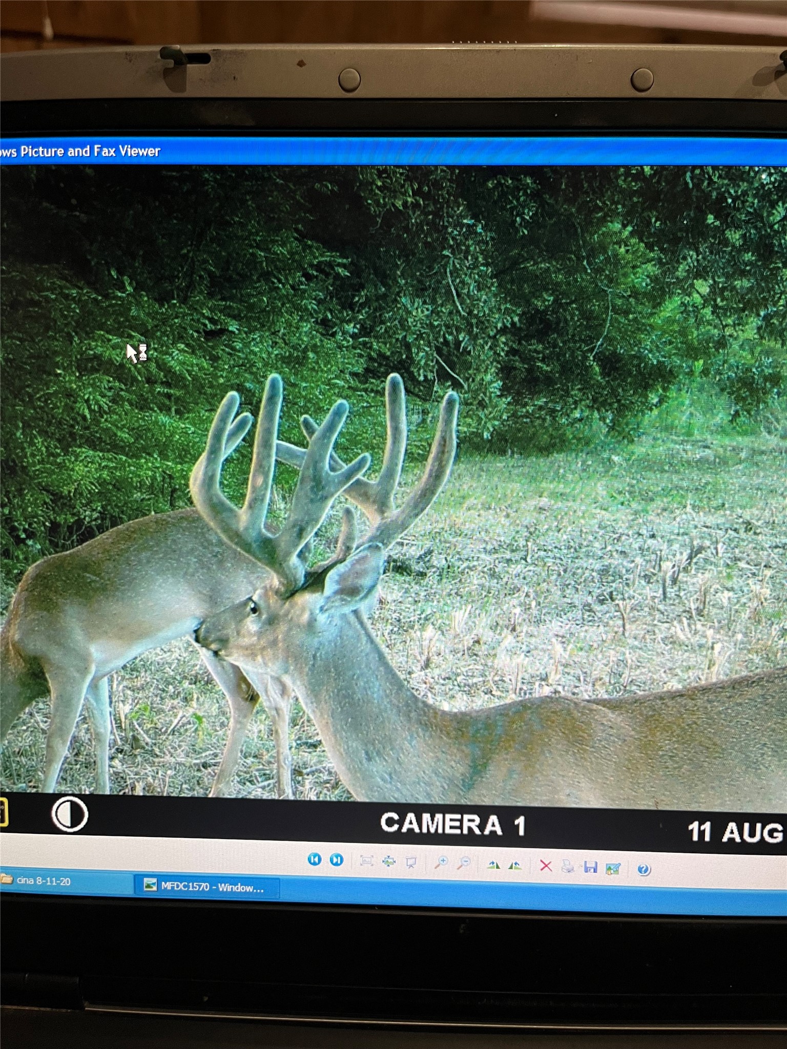 TBD County Road 1165