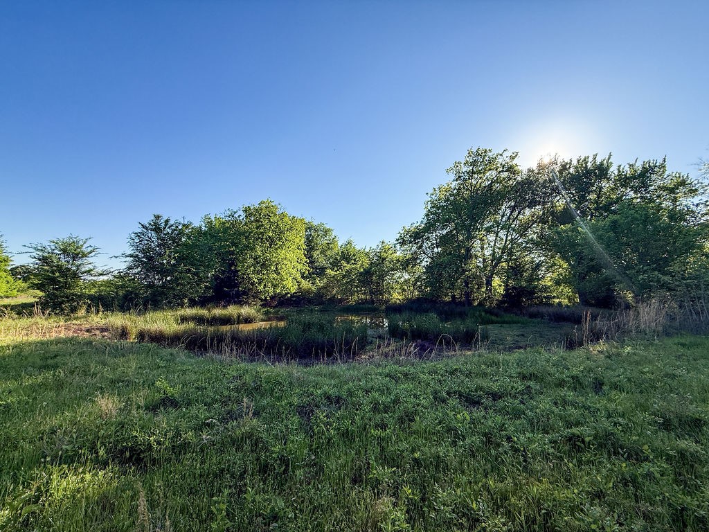 TBD County Road 1165