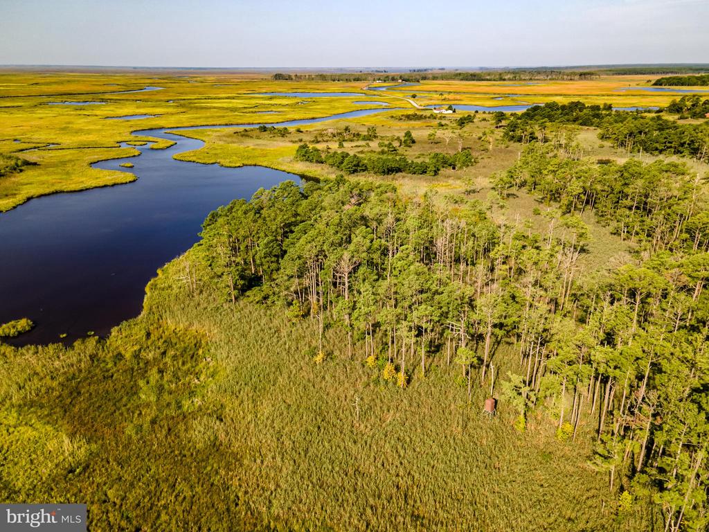 GRIFFITH NECK ROAD
