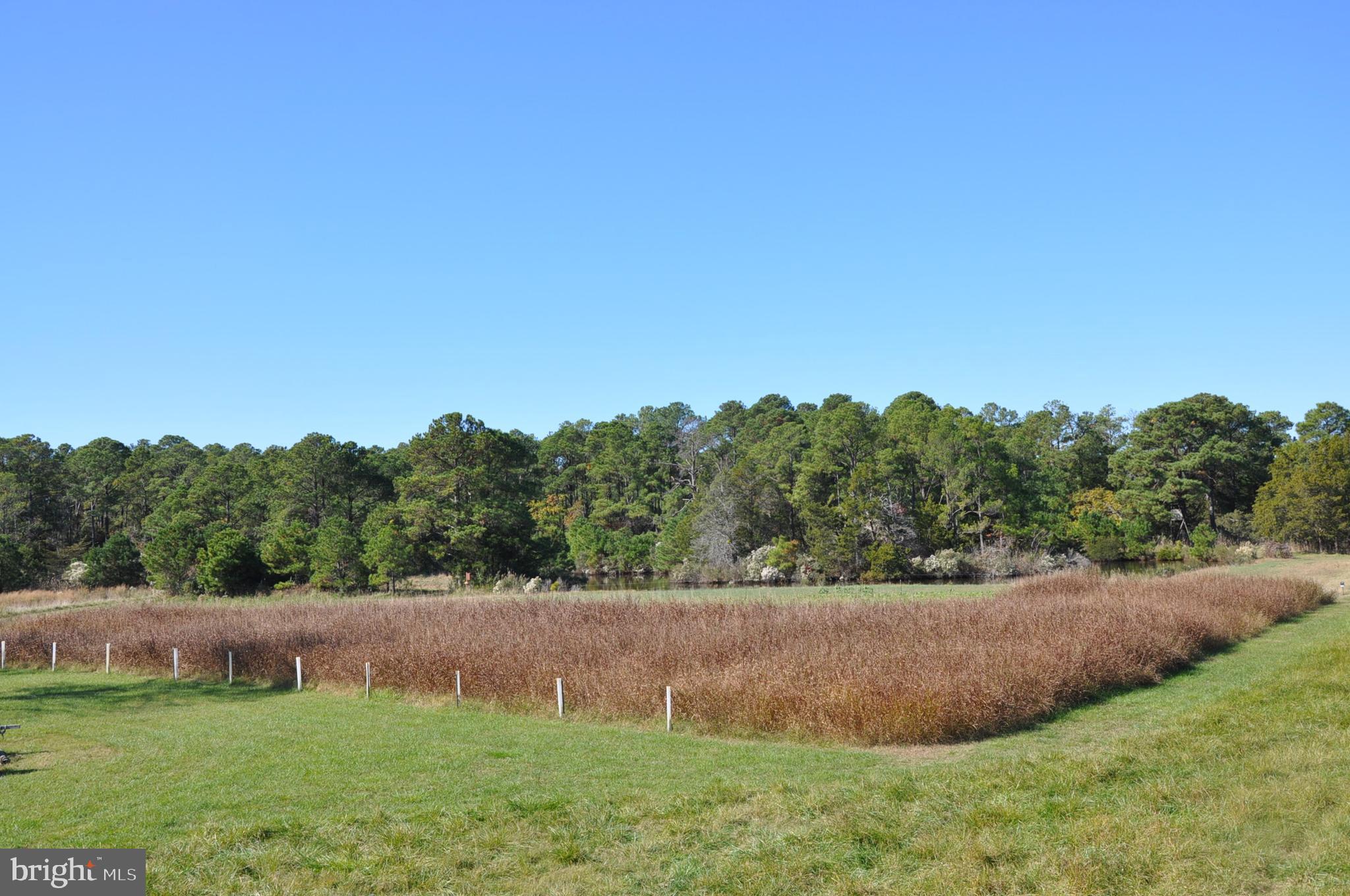 1933 E TEDIOUS CREEK ROAD