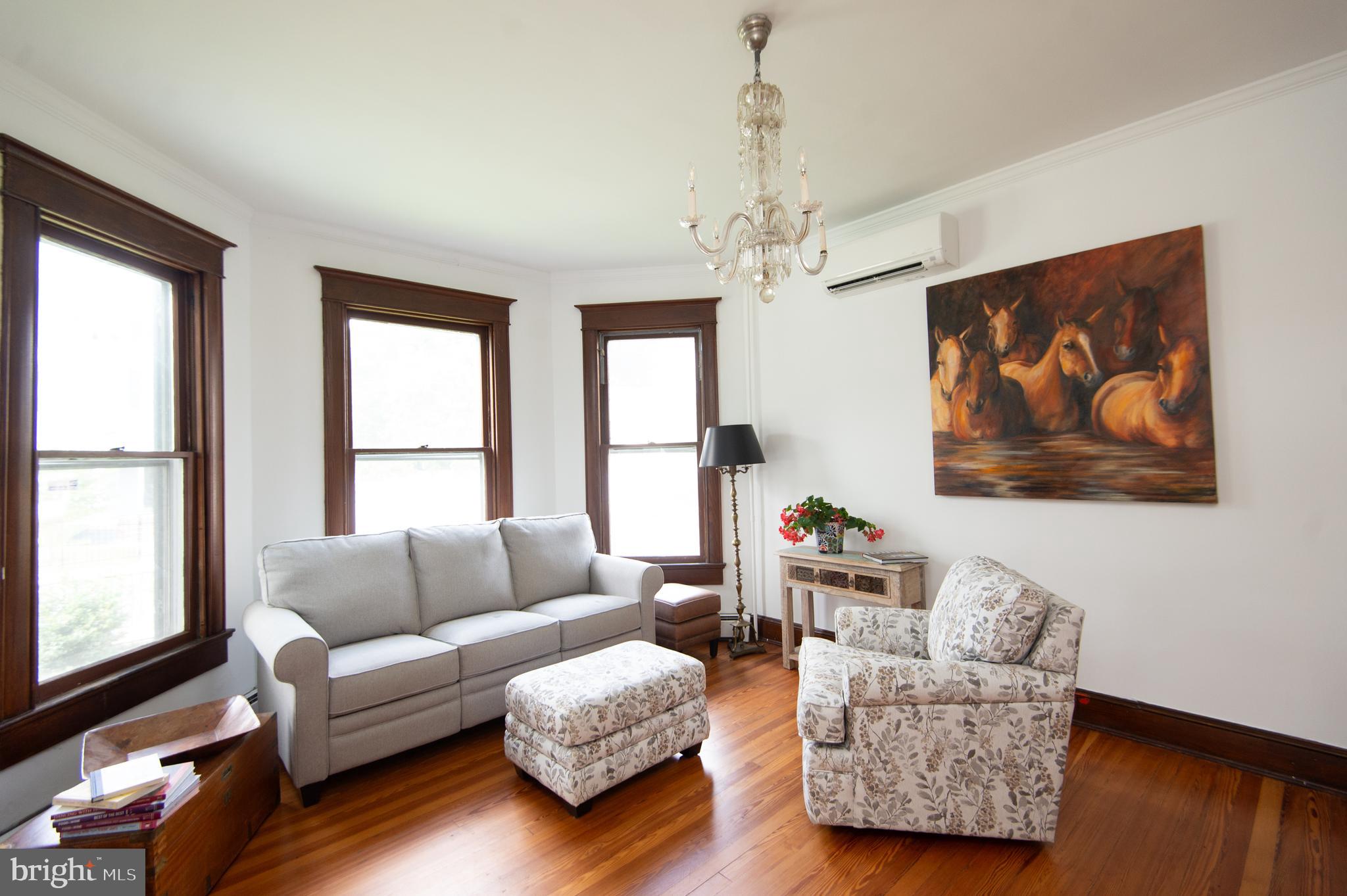 213 BELVEDERE AVENUE