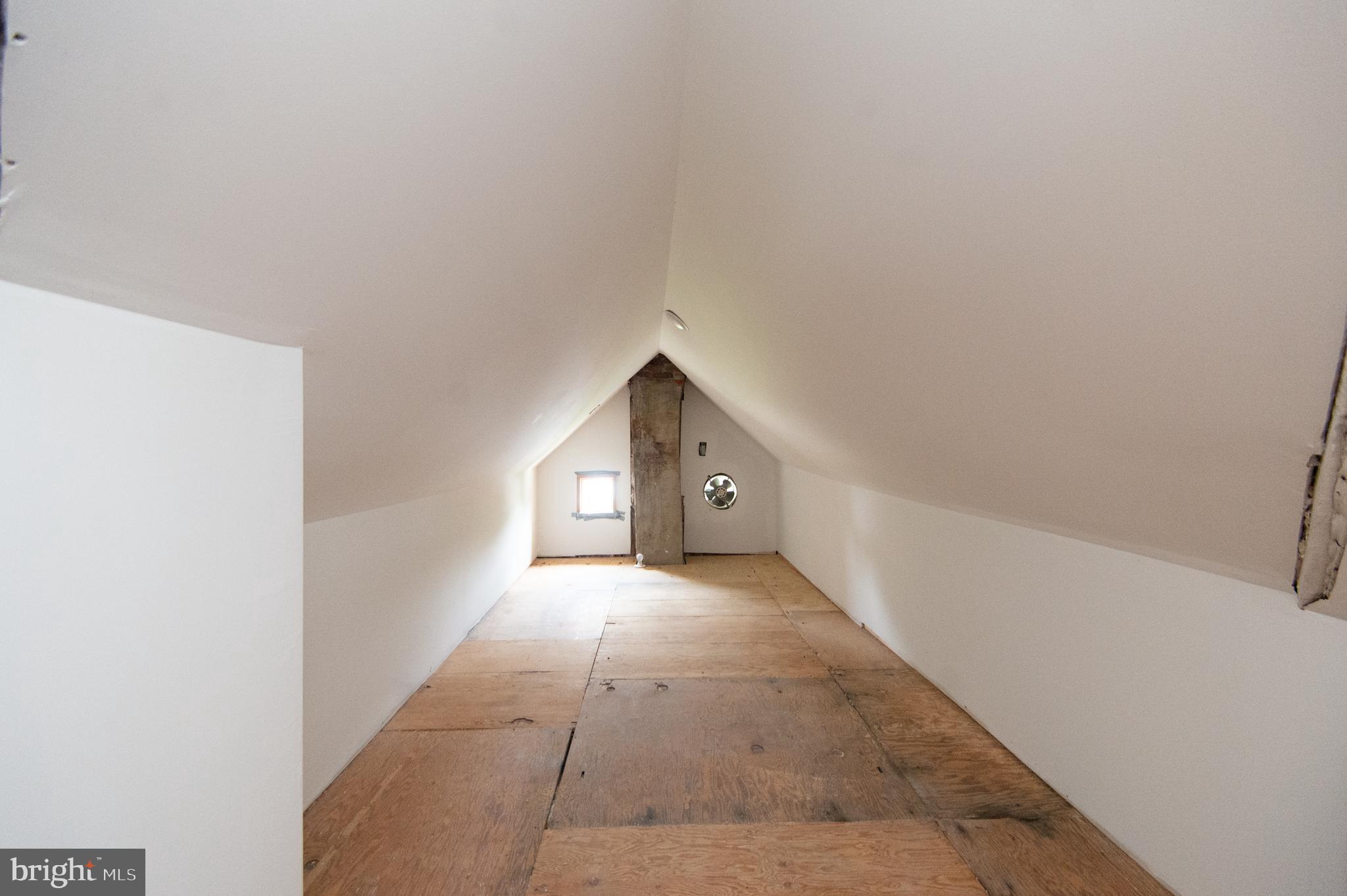 213 BELVEDERE AVENUE