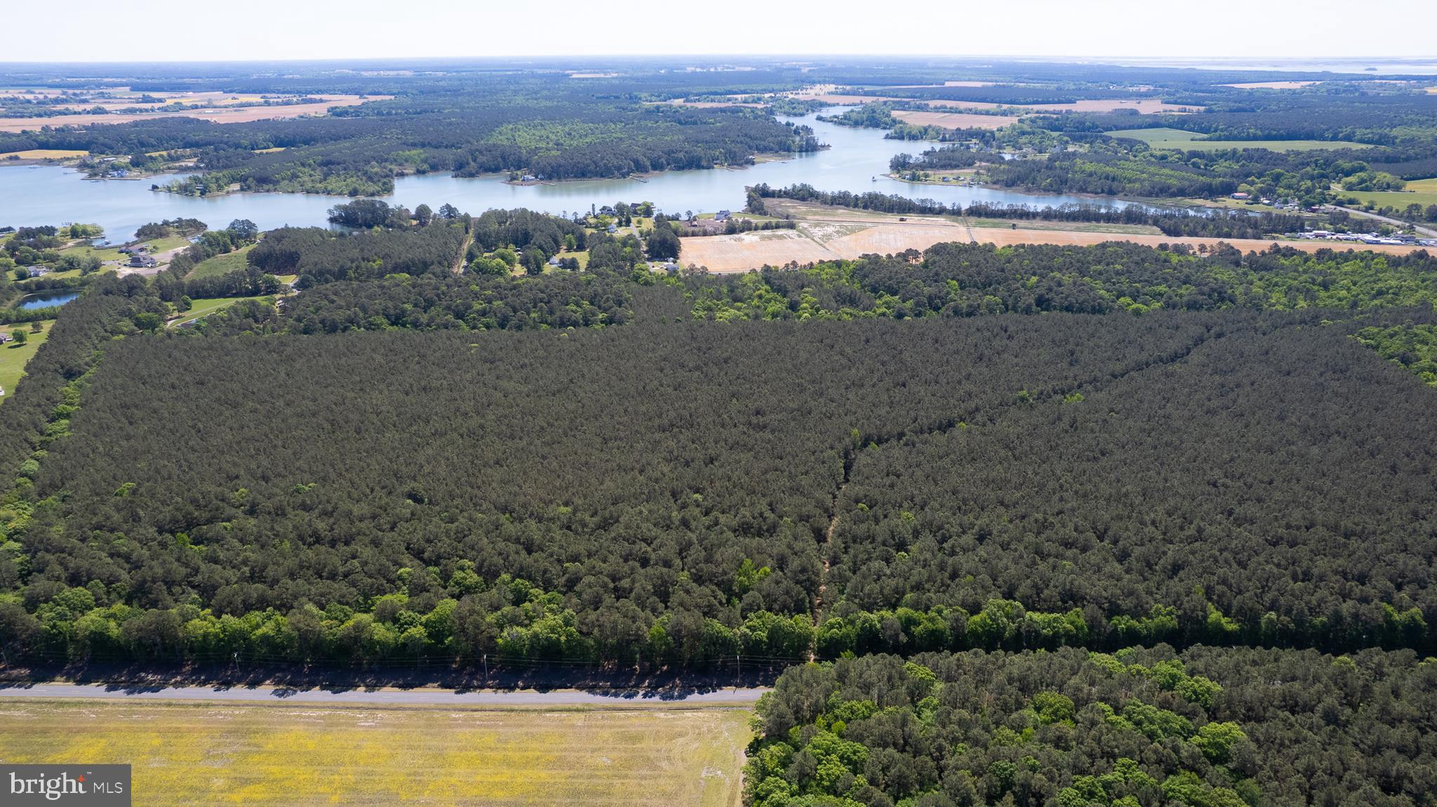 DORCHESTER COUNTY HUNTING LAND