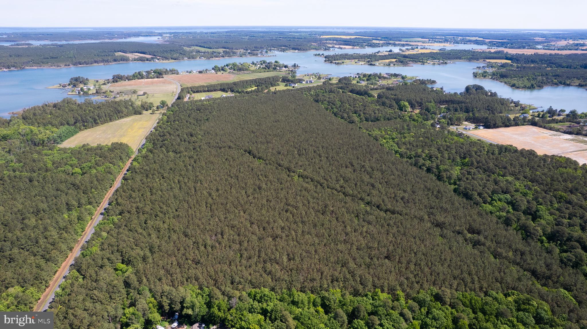 DORCHESTER COUNTY HUNTING LAND
