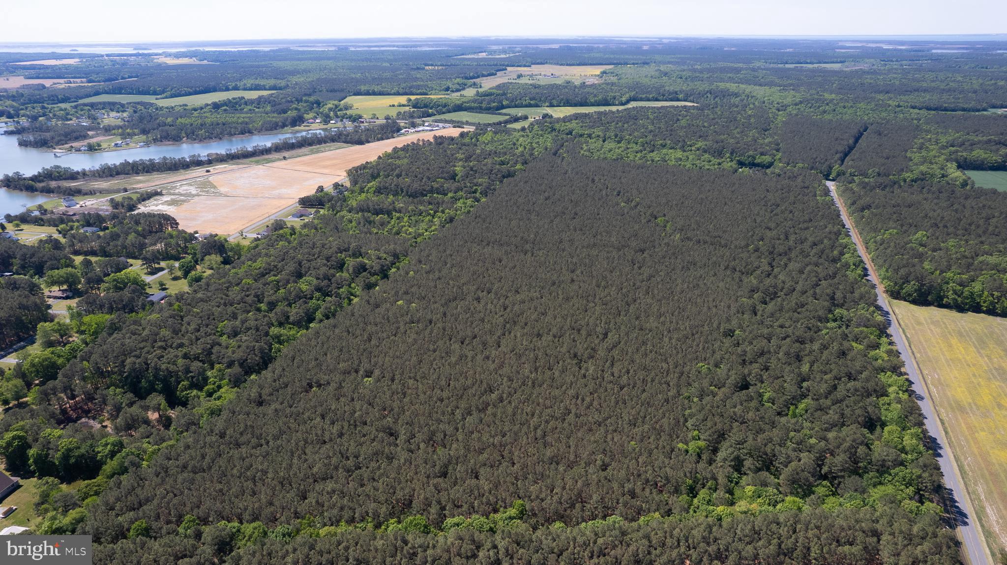 DORCHESTER COUNTY HUNTING LAND