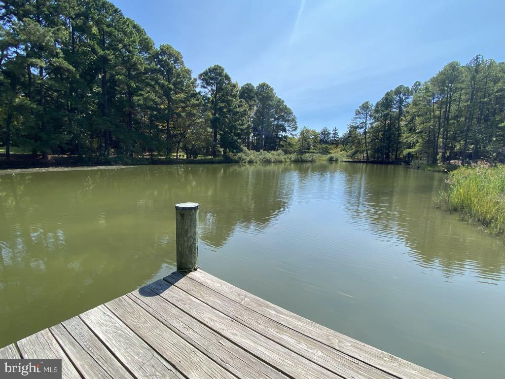 9171 DEEPWATER POINT