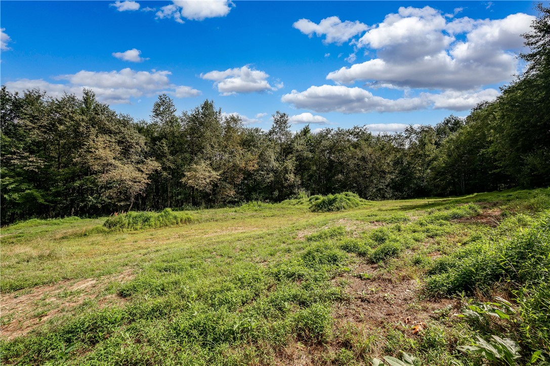 542 Watters Station Rd (Parcel B-1)