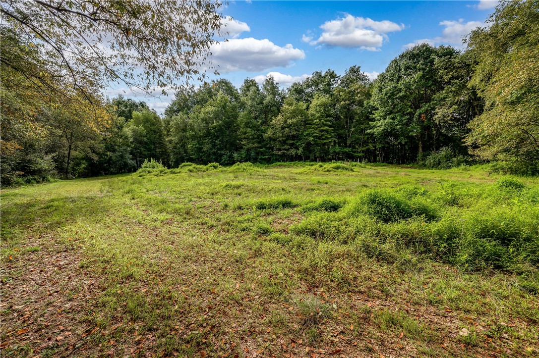 542 Watters Station Rd (Parcel B-1)