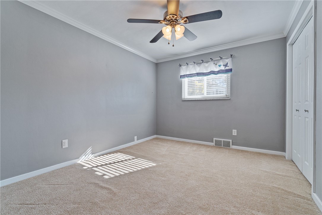 119 Minnock Drive