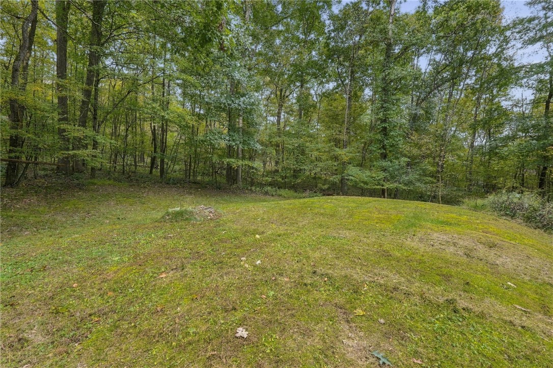 Grassy clearing bordered by mature trees and dense woodland.