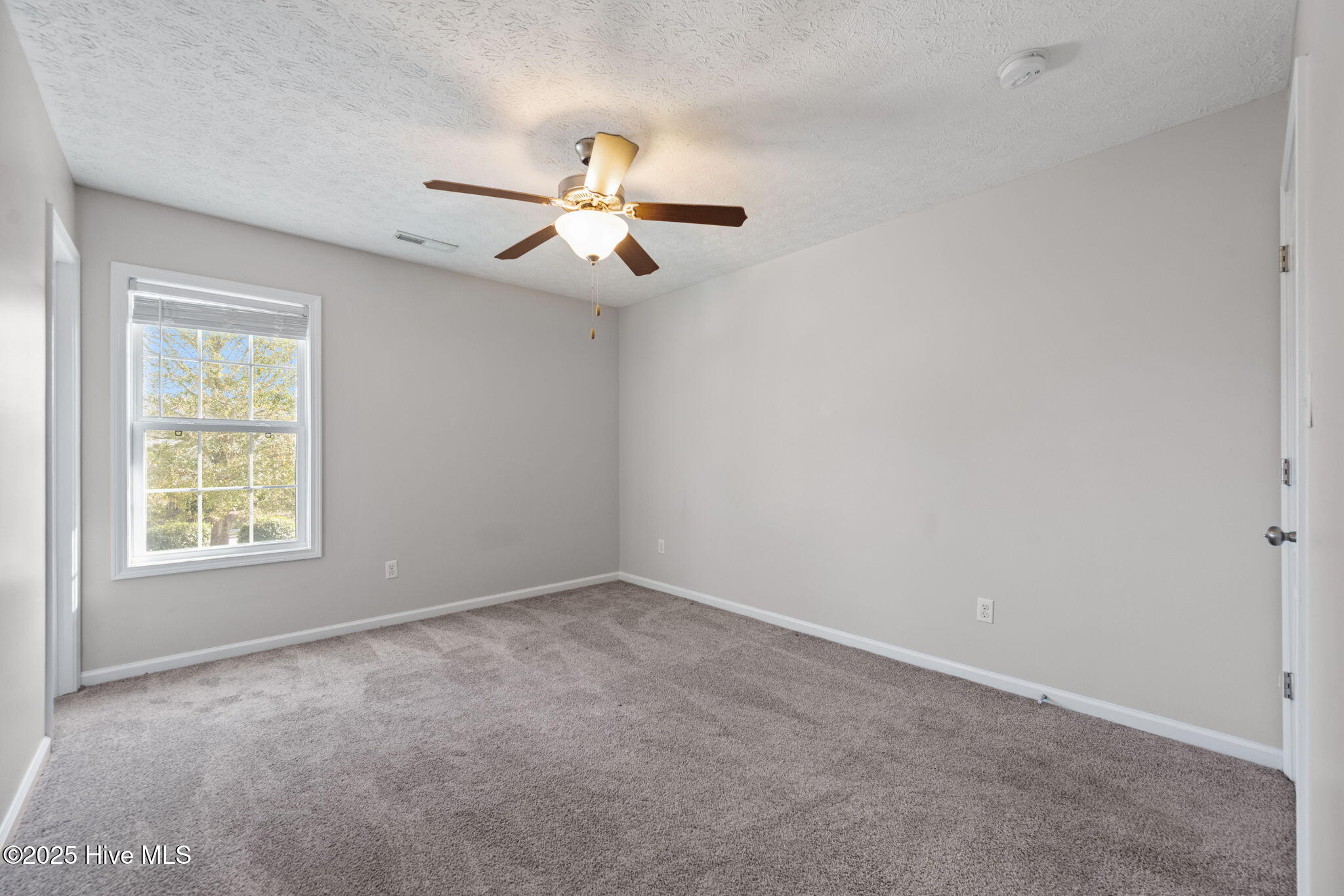 229 Glen Cannon Drive