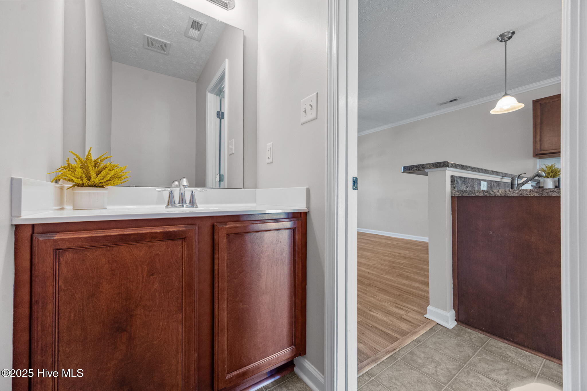 229 Glen Cannon Drive