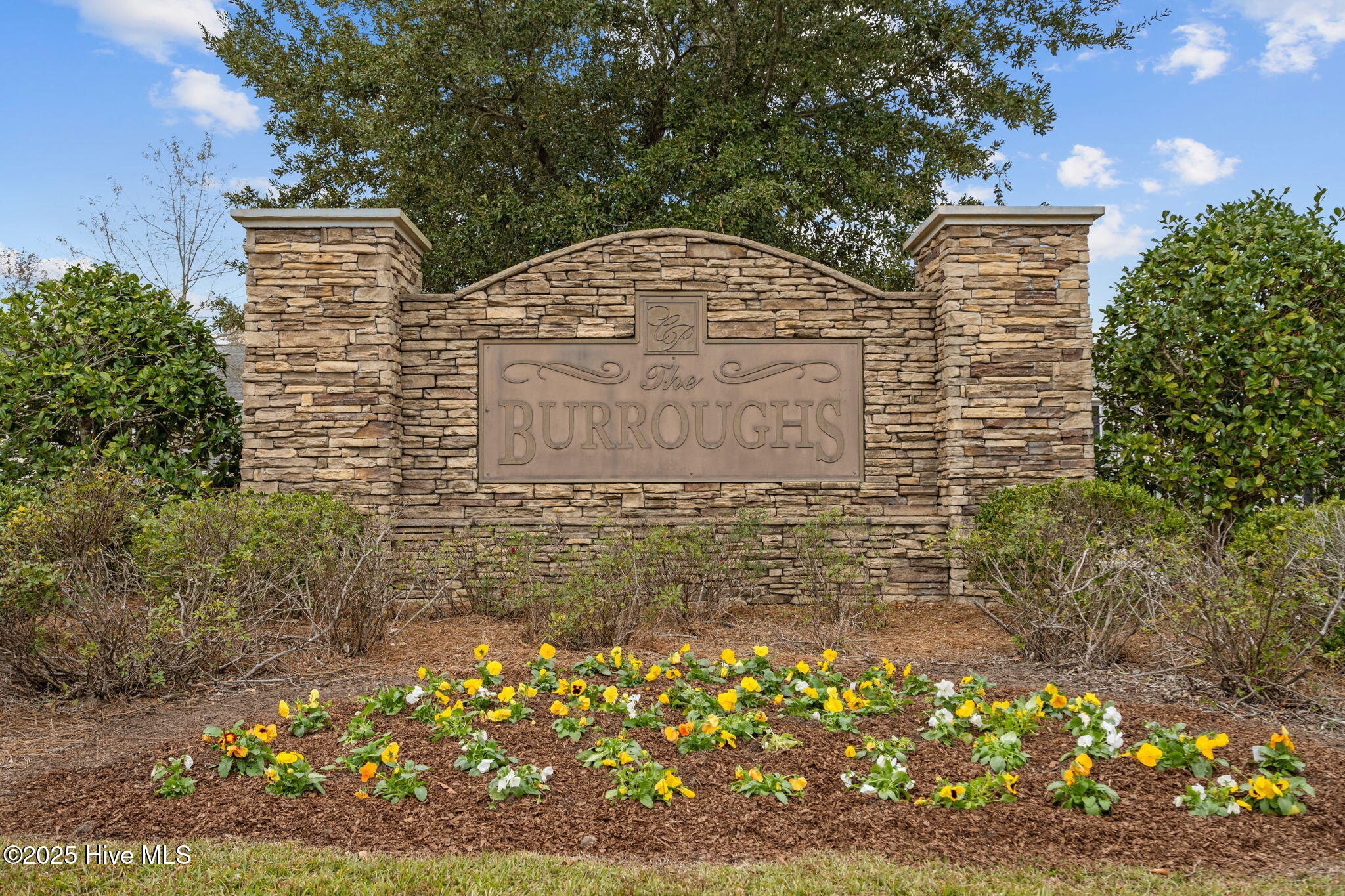 229 Glen Cannon Drive