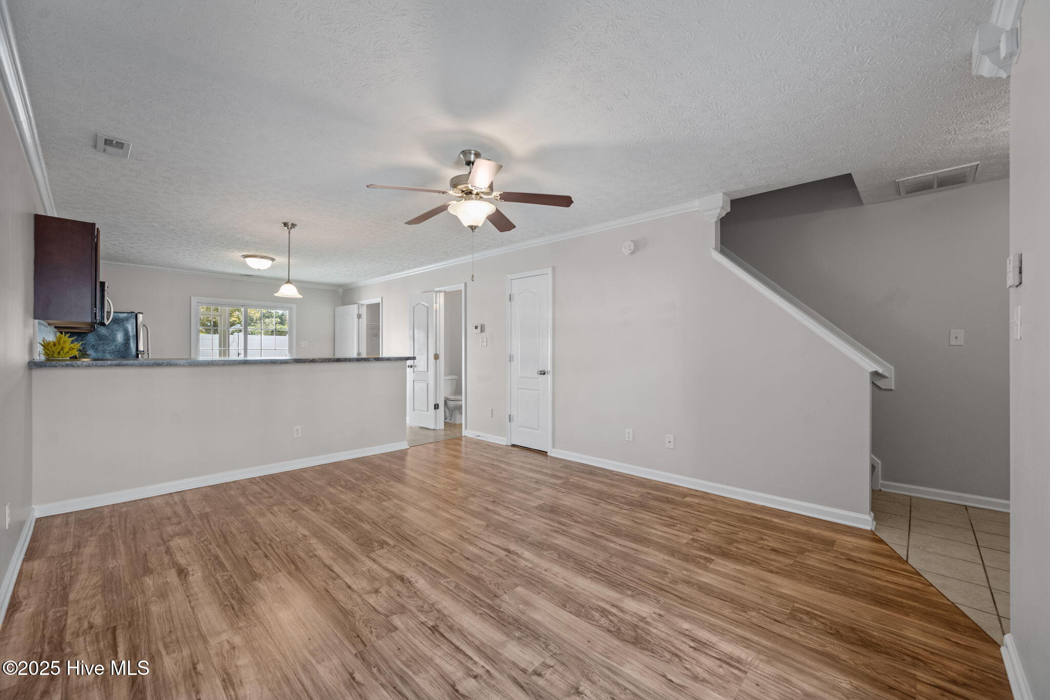 229 Glen Cannon Drive