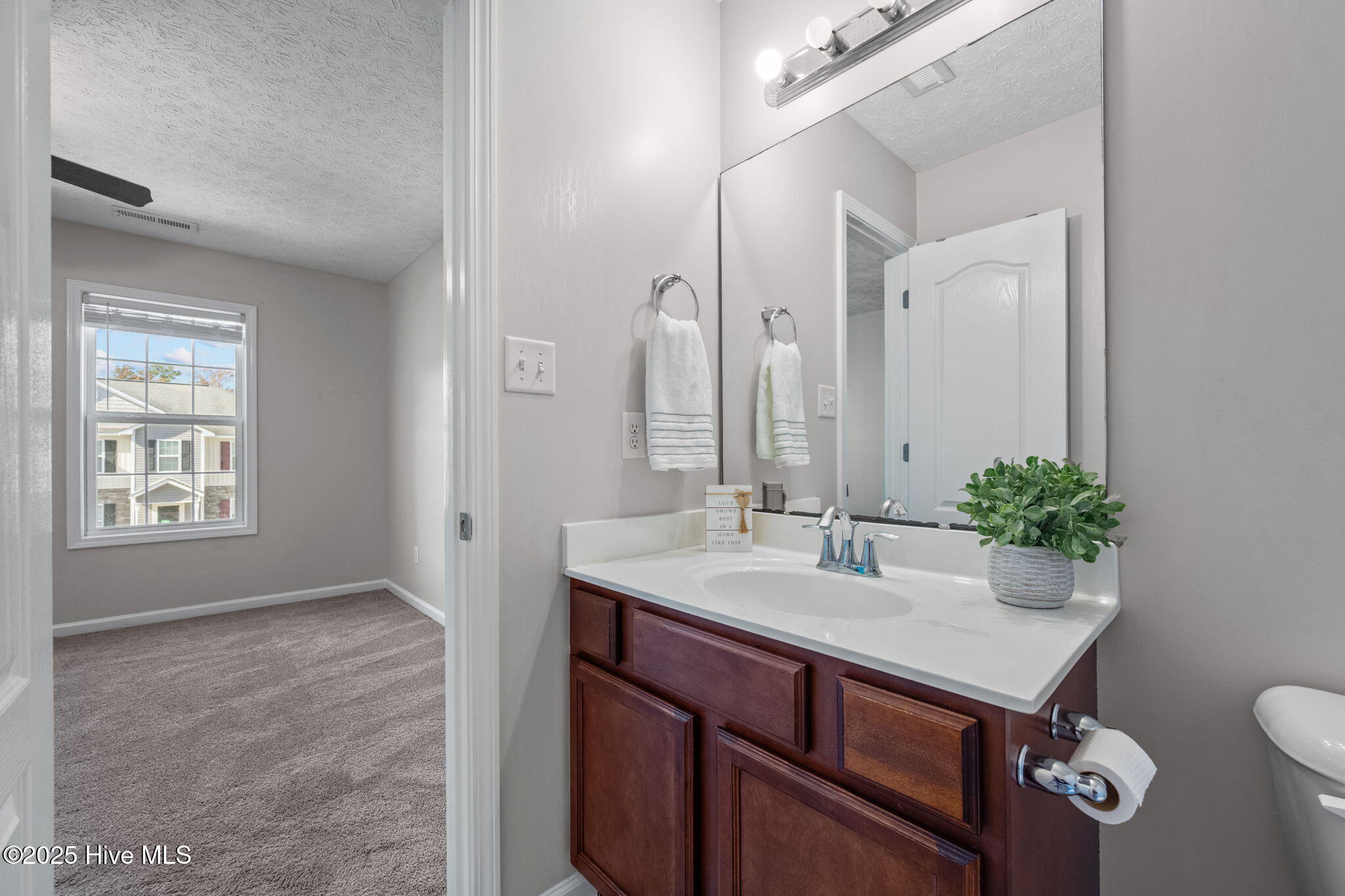 229 Glen Cannon Drive