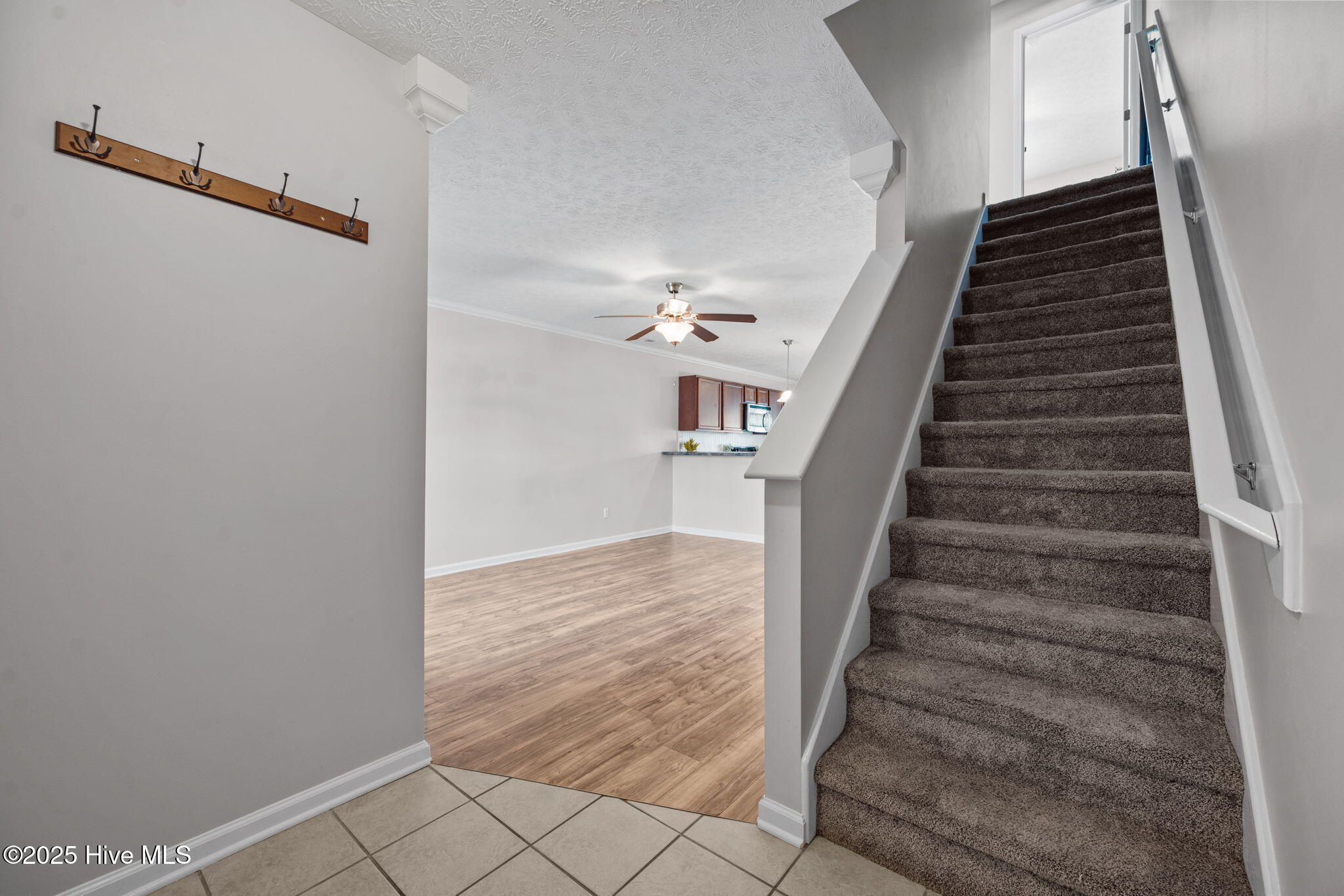 229 Glen Cannon Drive