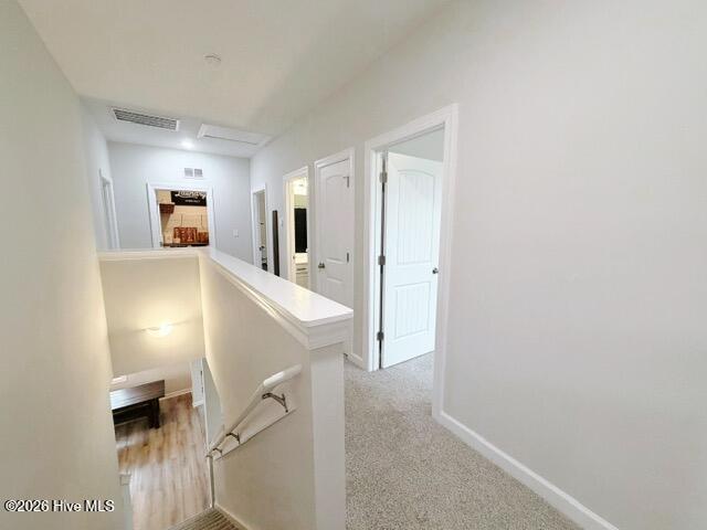 1113 Carteret Manor Drive