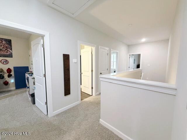 1113 Carteret Manor Drive