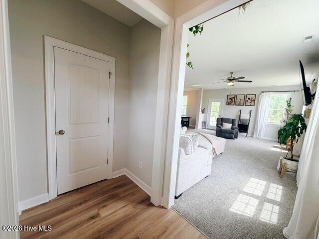 1113 Carteret Manor Drive